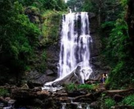 Chikkamagaluru Image