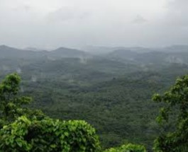 Puralimala Image