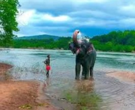 Kodanad Image