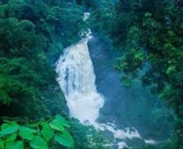 Valara Image