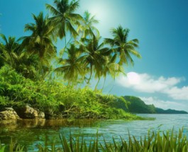 Kadamakkudy Image