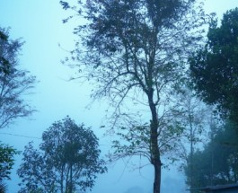 Vaduvanchal Image