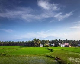 Nagarkovil Image