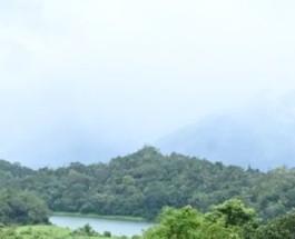 Koodaranji  Image