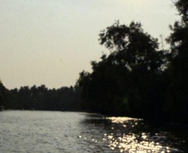 Paravoor Image