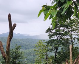 Mudippara view point Image