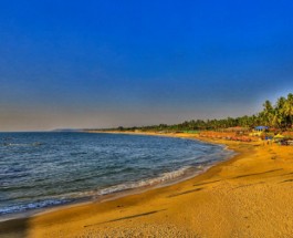 Calangute Image