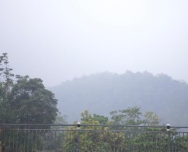 Letchmi Estate Image