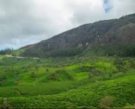 Lockhart Gap Image