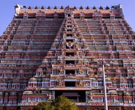 Thrichi Image