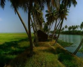 Kallara Image