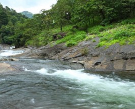 Kozhipara Image