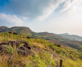 ilaveezha Poonchira Image