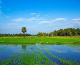 Ramassery Image