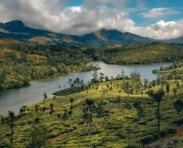 kunchithanni Image
