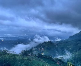 Pottankad Image