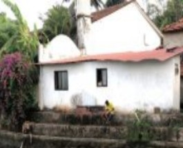 Mapuse Image