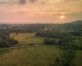 GOA Image