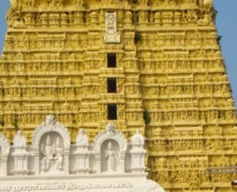 TENKASI Image