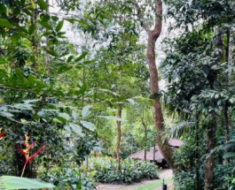Kollengode Image