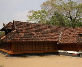 Kulathupuzha Image
